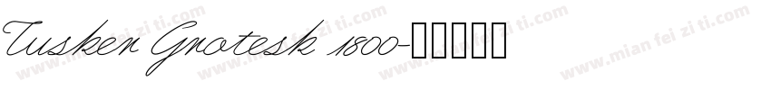 Tusker Grotesk 1800字体转换